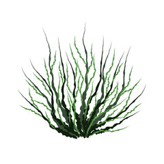 Bush with green branches. Vector element for the design.