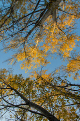 Autumnal walk along the Buñol river as it passes through Alborache (Valencia-Spain)