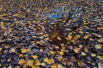 Autumnal walk along the Buñol river as it passes through Alborache (Valencia-Spain)