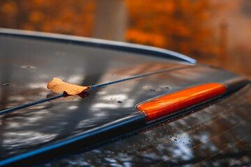leaf on a car in autumn time