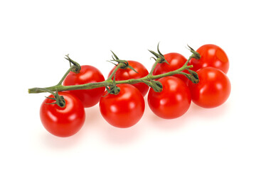 Ripe tomatoes on the branch
