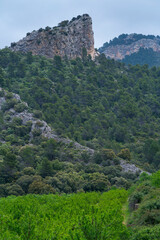 Fototapeta na wymiar En Benet Rocks, The Ports Natural Park, Terres de l'Ebre, Tarragona, Catalunya, Spain