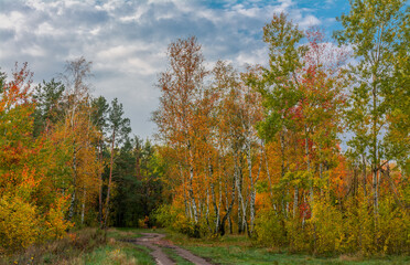 A scenic road that runs through meadows and along the forest. Countryside. Hiking.