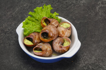French cuisine - Escargot with sauce