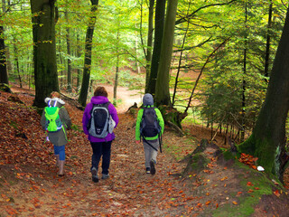 Fototapeta premium Herbstwanderung