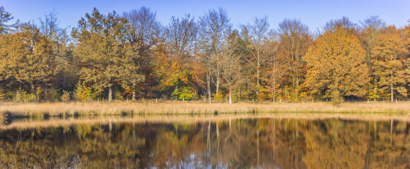 Fototapeta na wymiar Panorama of colorful trees reflecting in the water in Borger, Netherlands