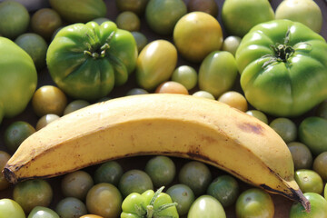 Unreife Tomaten, die mit einer Banane schneller reifen sollen.