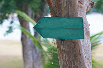 A blank green wooden direction arrow sign on a tree in a garden location