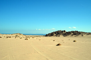 Fototapeta na wymiar Jeep safari.Photos were taken while driving. Desert of Sinai Peninsula, Egypt. Near Sharm El Sheikh