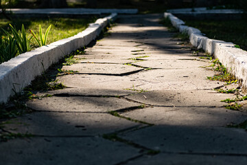 An alley and path among green vegetation, grass and trees with shrubs and part of the road ennobled and fenced with flowers for walking and running in parks and forests in nature in the fresh air