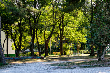 An alley and path among green vegetation, grass and trees with shrubs and part of the road ennobled and fenced with flowers for walking and running in parks and forests in nature in the fresh air