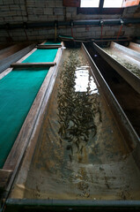 Aigua Natura Fish Hatchery. Toscar Valley, The Ports Natural Park, Terres de l'Ebre, Tarragona, Catalunya, Spain