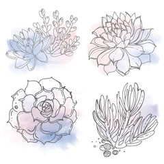 Cacti and succulents painted a white line on a watercolor background. Vector sketch of indoor plants. Color rose quartz, serenity.