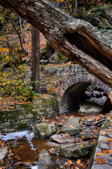 Stone Foot Bridge over a Small Stream