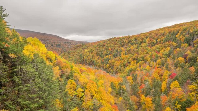 Autumn Hillside, Catskill Mountains, Kaaterskill Falls Timelapse Video