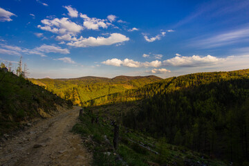 Naklejka premium mountain