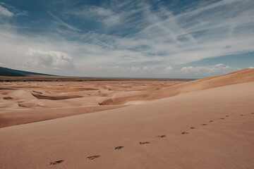 Fototapeta na wymiar Footprints in the desert sand dunes of Great Sand Dunes National Park in Colorado, USA 