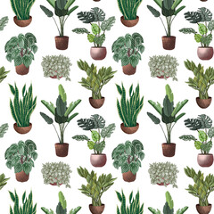 Various potted plants seamless pattern. Houseplants background.