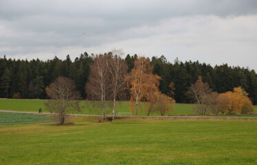 Fototapeta na wymiar Landschaft im Herbst mit Bäumen, Wiese und Fahrradfahrer auf einem Weg