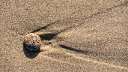 Fototapeta na wymiar Ptasie ślady na plaży