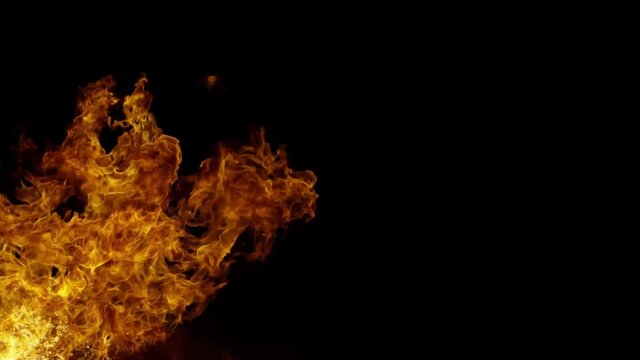 Real fire Stock Video In Black Background