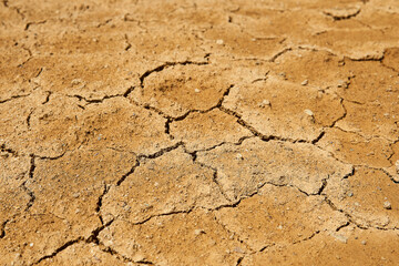 landscape - dry earth with mudcracks