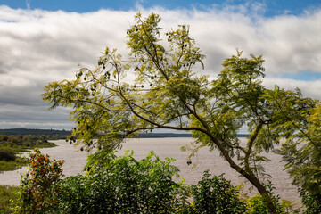 Margins of a river full of vegetation. Landscape without people. Subtropical river