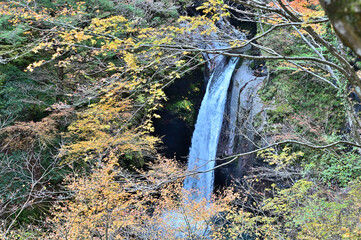 四国徳島県の大釜の滝（日本の滝百選）