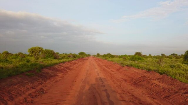 Landscape in Tsavo National Park, Kenya Africa