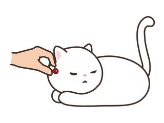 白猫に薬を飲ませる