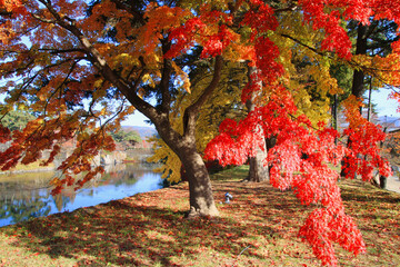 秋の鶴ヶ城公園（福島県・会津若松市）