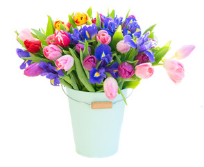 Pink and violet tulips flowers