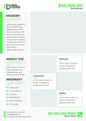Professional Real Estate Flyer Template