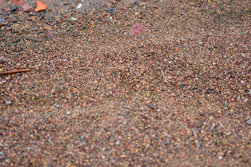 pebbles on the beach