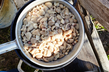Clean, peeled Suillus mushrooms in metal pan. Fresh cooked mushrooms on a wooden background. Top view