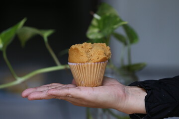 Steamed sponge cake, original cake food from Indonesia, tastes delicious
