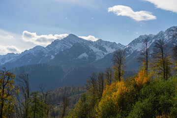 mountain view in autumn