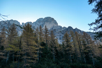 Foggy morning in Hochschwab region in Austrian Alps. Very gentle sunrise color. Sun rising from behind the mountain. Dense forest in front. Idyllic landscape. Freedom and wilderness