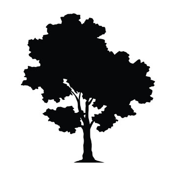 tree silhouette vector on white background