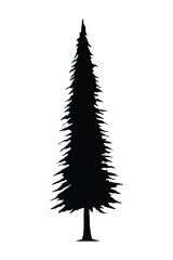 Pine tree silhouette vector on white background