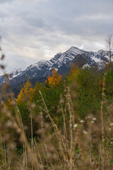 late autumn in the mountains