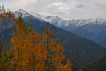 late autumn in the mountains