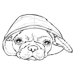 French Bulldog Small breeds miniature breeds	
