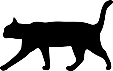 Vector illustration of the walking cat silhouette