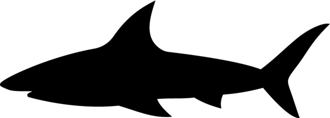 Vector illustration of the shark