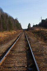 Fototapeta premium old empty railway tracks in the forest