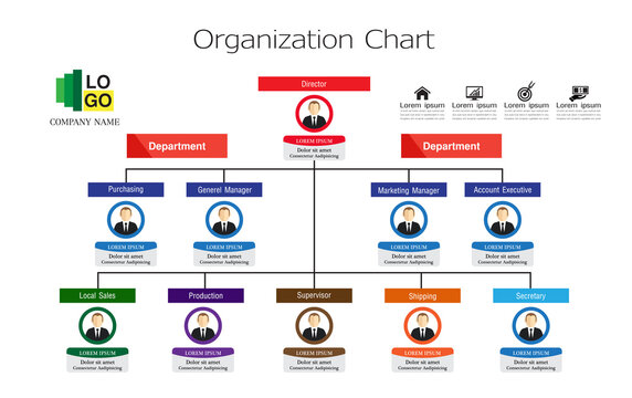 Organization Chart Infographics With People Icon And Abstract Line, Business Structure, Hierarchy Of Employees, Org  Vector Illustration.