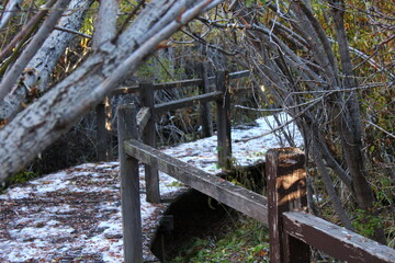 wooden bridge in the forest with snow
