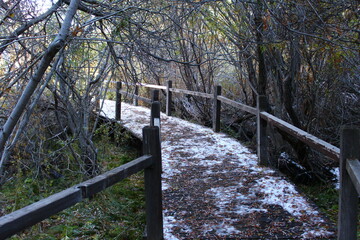 wooden bridge in the forest with snow