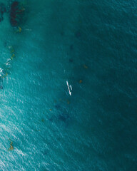 Obraz premium boat on the sea